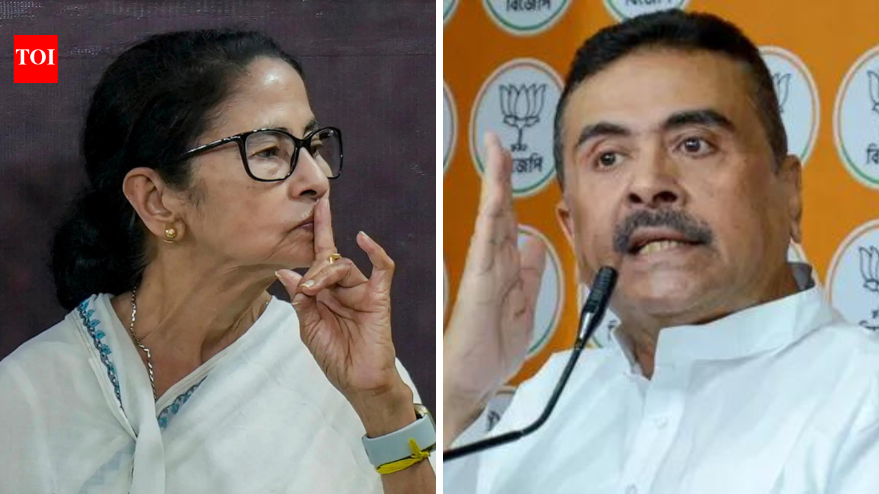 West Bengal polls: TMC announces list of 291 candidates; stage set for Babanipur Suvendu vs Mamata