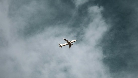 Whats-going-on-near-the-Newburgh-Lighthouse-Bridge-Report-of.jpeg Cricket in L1