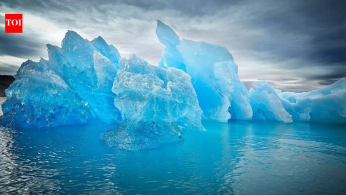 Why Greenland is almost 'treeless' and what makes it so unusual; reasons that will shock you | World News

