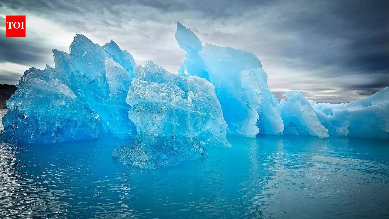 Why Greenland is almost 'treeless' and what makes it so unusual; reasons that will shock you | World News