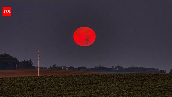 Why the Moon turns red during a total lunar eclipse: The physics behind a blood moon
