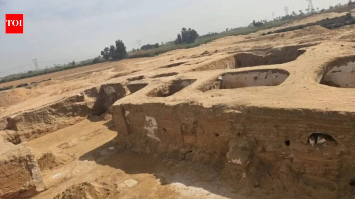 1,500-year-old monastery discovered beneath Egypt's Nile Delta reveals incredible history of early Christian life World News