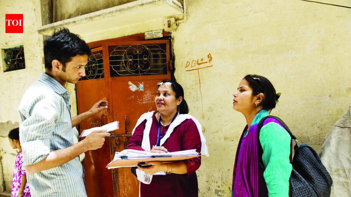 2027 Census: 1.2 million households in 11 states complete self-census