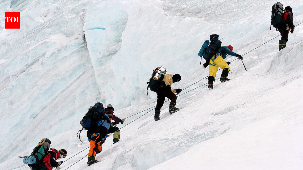 $20M scam at 30,000 feet: Everest guide accused of poisoning hikers for insurance money World News