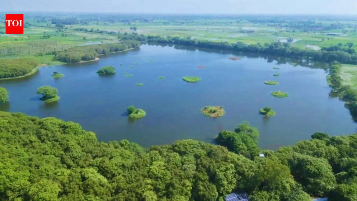Aligarh's Shekha Jheel Bird Sanctuary gets global label, taking number of protected wetlands in India to 99