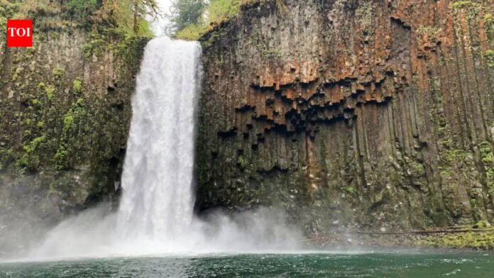 Andhra technician killed in California waterfall accident while traveling with friends India News

