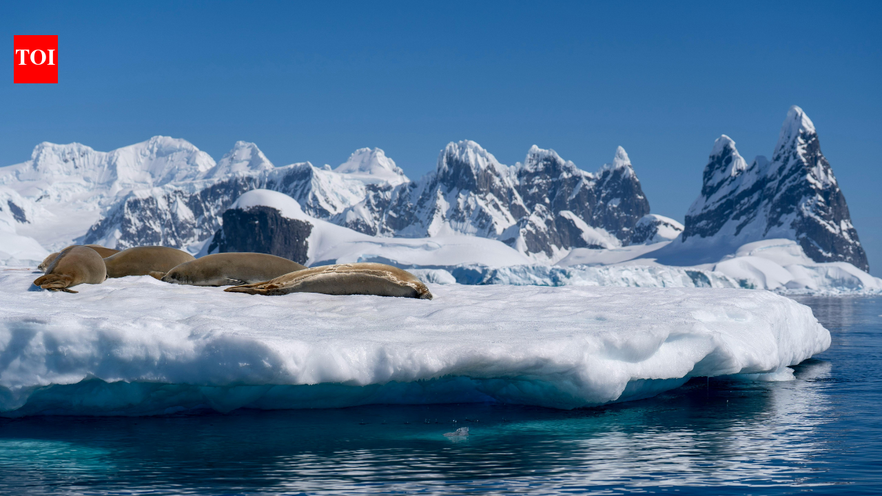 Antarctica melting: Antarctica's 'point of no return': Scientists warn melting may be unstoppable