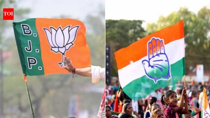 Assam Assembly elections: Wealth of re-running MLAs rises 80% in 5 years; which party has the biggest jump?

