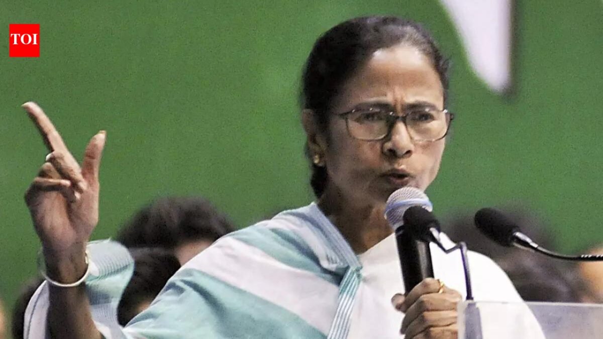 BJP, EC try to invalidate my Babanipur candidature with 'fake case': Mamata at Keshiyari rally