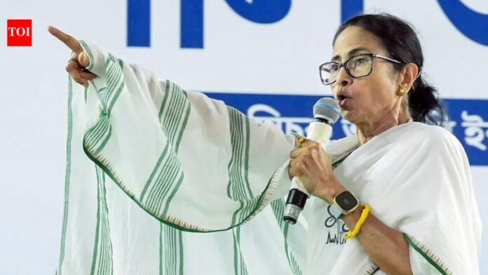 'BJP will take Lakshmi Bandar's money': CM Mamata to Bengal women voters

