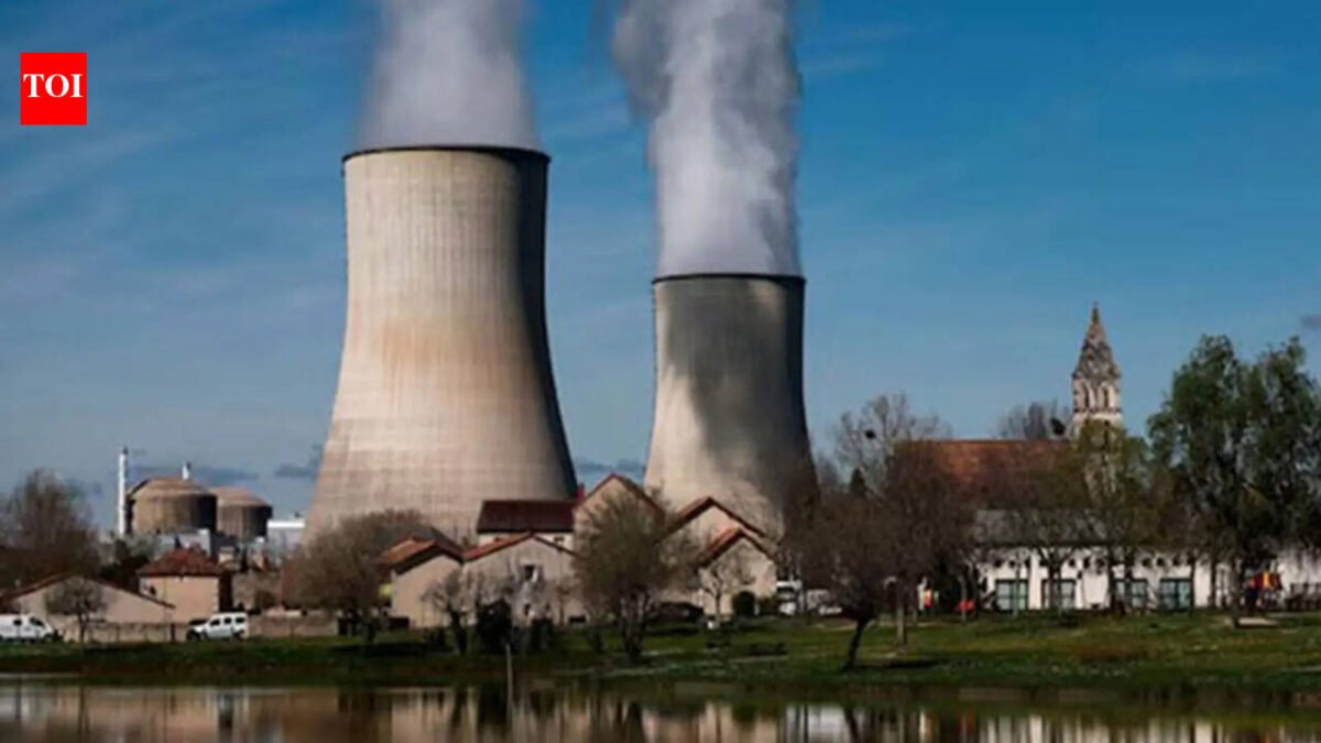 Bangladesh's first N power plant starts loading