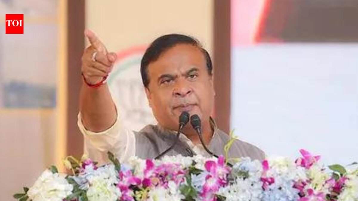 Beef row: Chief minister vows action against relatives of AJP nominee