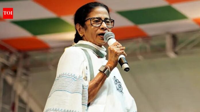 Befitting reply to Delhi's zamindars: Mamata in Bengali New Year message

