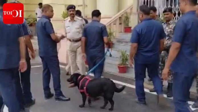Bihar Assembly receives bomb threat, intensive searches underway: Police


