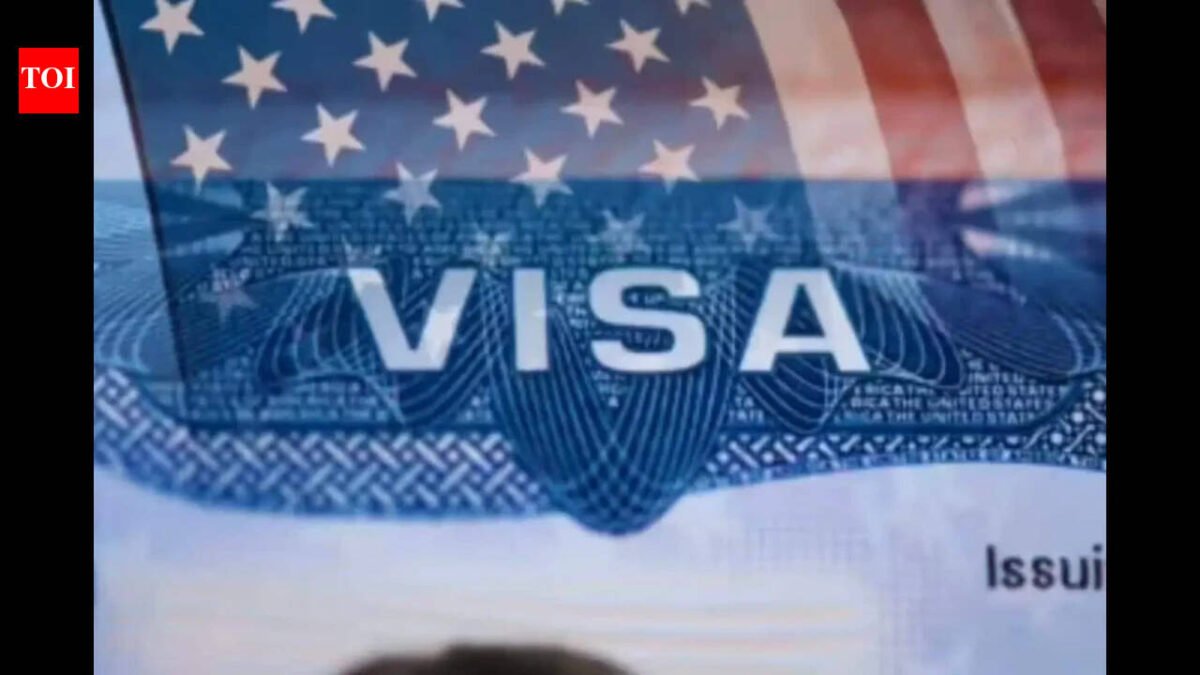 Bullshit can hurt your case: Immigration lawyer reveals how U.S. visa decisions are made and why they are denied