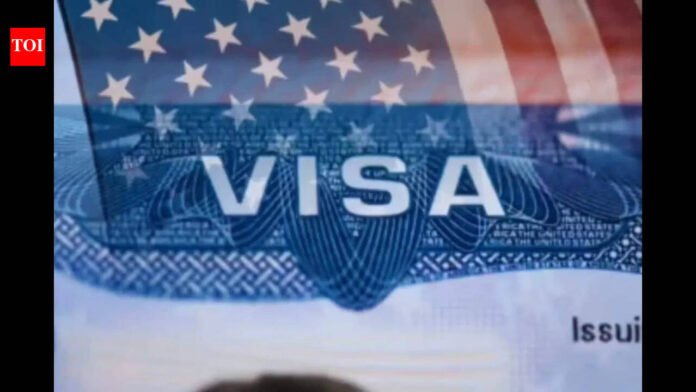 Bullshit can hurt your case: Immigration lawyer reveals how U.S. visa decisions are made and why they are denied

