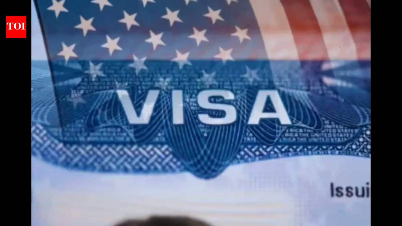Bullshit can hurt your case: Immigration lawyer reveals how U.S. visa decisions are made and why they are denied