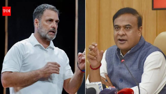 'CM who spreads hate': Rahul Gandhi slams Himanta Biswa at Assam poll rally

