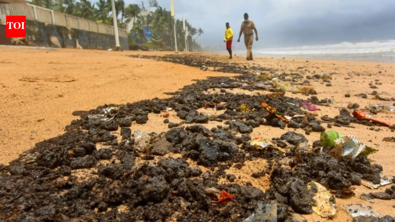 Center proposes rules for managing environmentally hazardous tar balls, as well as space technology for monitoring and detecting oil spills
