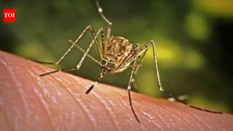 Dengue treatment will be available in 2-3 years, but case numbers will increase with climate change