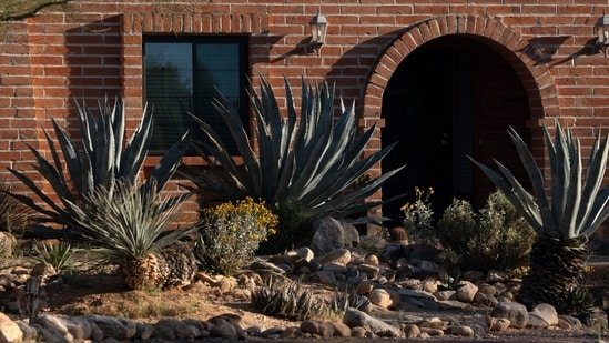 Hindustan Times News