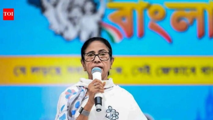 'Divided West Bengal': Mamata claims Center is trying to 'divide' state through delimitation

