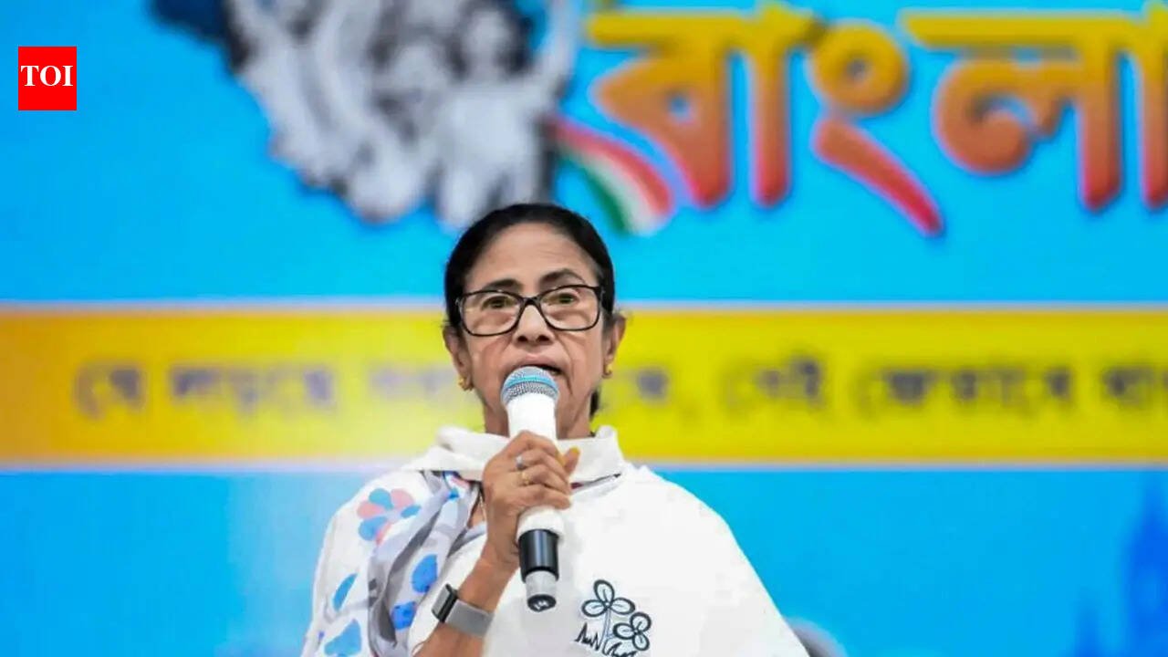 'Divided West Bengal': Mamata claims Center is trying to 'divide' state through delimitation