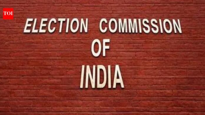 EC seeks report on BJP candidate's 'love jihad' remarks

