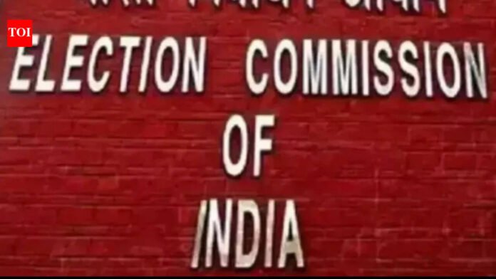 European Commission suspends police officer over 'partisanship'

