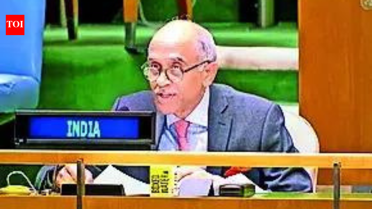 Expanding the permanent category with veto power is crucial for real reform of the UN Security Council: India