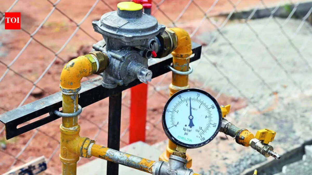 Expert panel calls for domestic switch to smart prepaid metering in Papua New Guinea