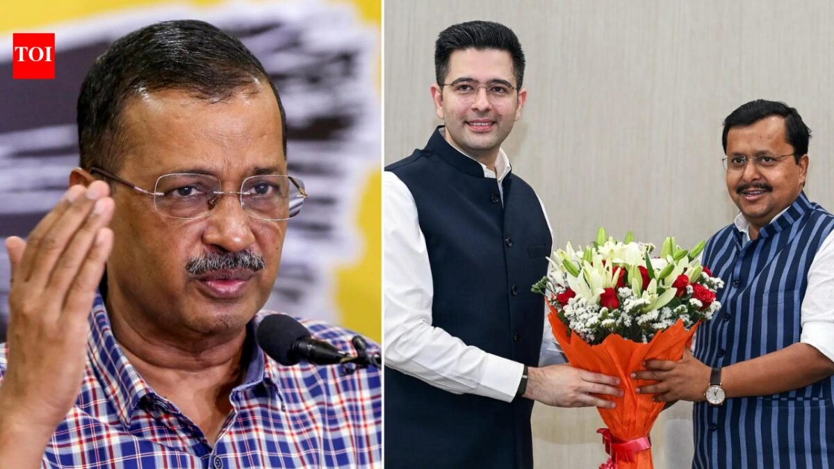 Fastest-growing startup implodes: Raghav Chadha leads Rajya Sabha exodus, AAP faces future tense