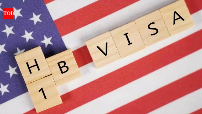 For those not selected in the H-1B lottery, the road isn't over yet: Immigration lawyers explain the 8 best options

