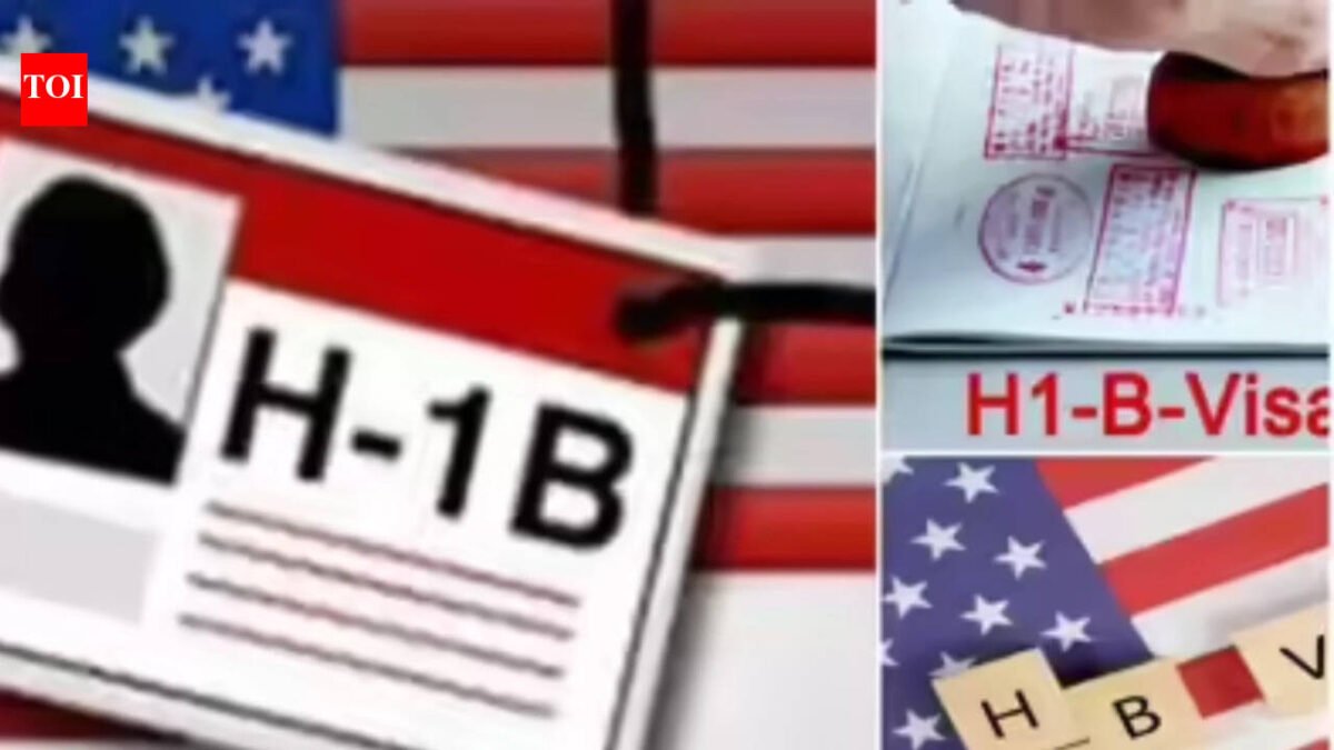 H-1B visa holders harassed by influencers: Immigration lawyer says 'Don't open the door, you're not...'