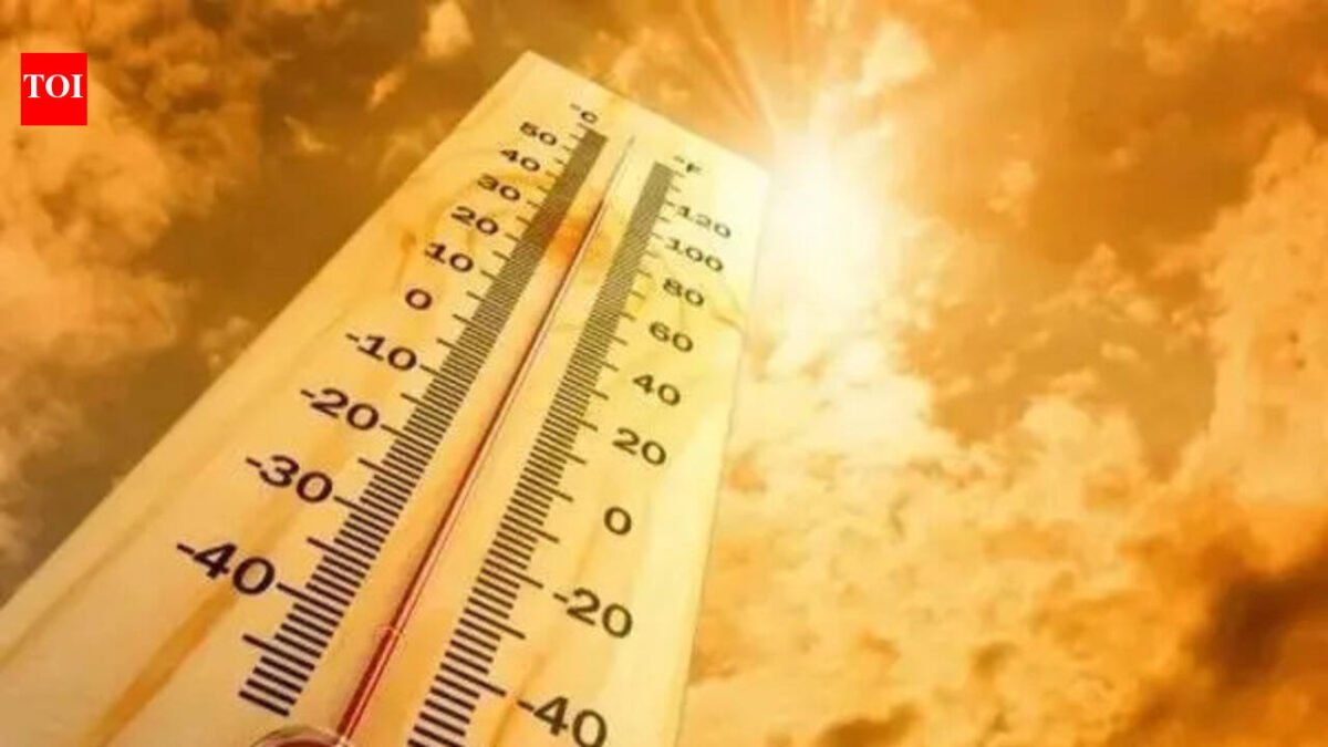 Heat waves to become major threat to rice production in India, with Ganges and Indus basins most at risk: FAO-WMO report