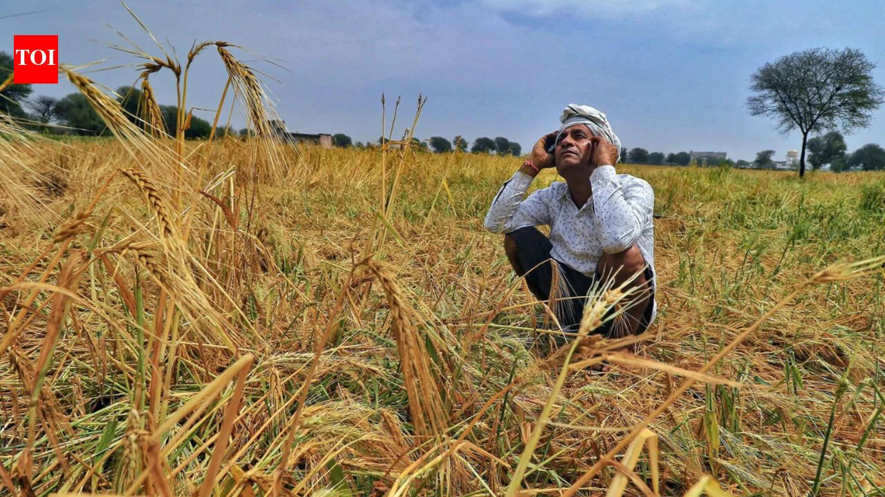 IMD predicts 'below normal' monsoon rainfall in country due to increasing risk of El Niño
