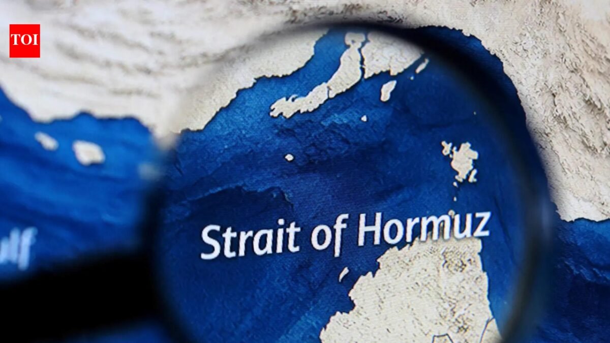 India needs to consider its national interests on the Gulf of Hormuz issue