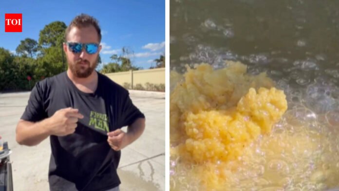 'It feels good to me': Florida man cooks invasive green iguana in waffles in bizarre viral video


