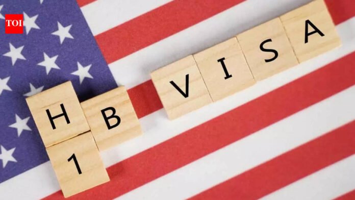 'It's not just drugs and thugs anymore': Immigration lawyers say H-1B employers under tough Labor Department investigation

