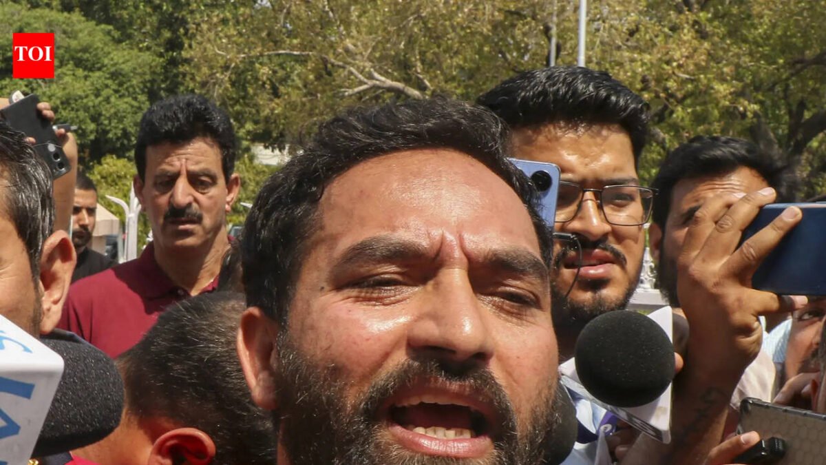 J&K HC quashes AAP leader Mehraj Malik's PSA detention