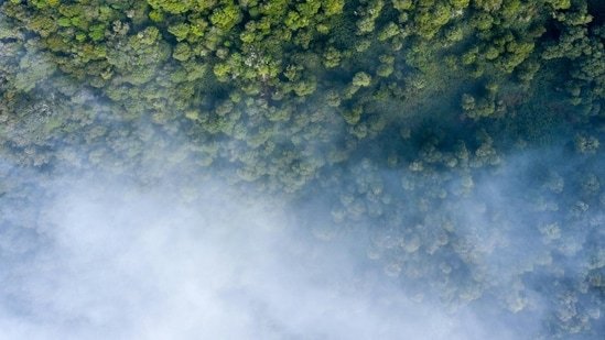 Hindustan Times News