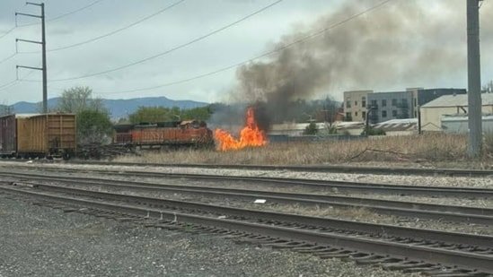 Hindustan Times News