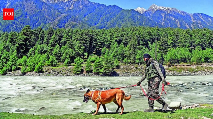 Modi on Pahalgam attack: 'India will never bow to terror'

