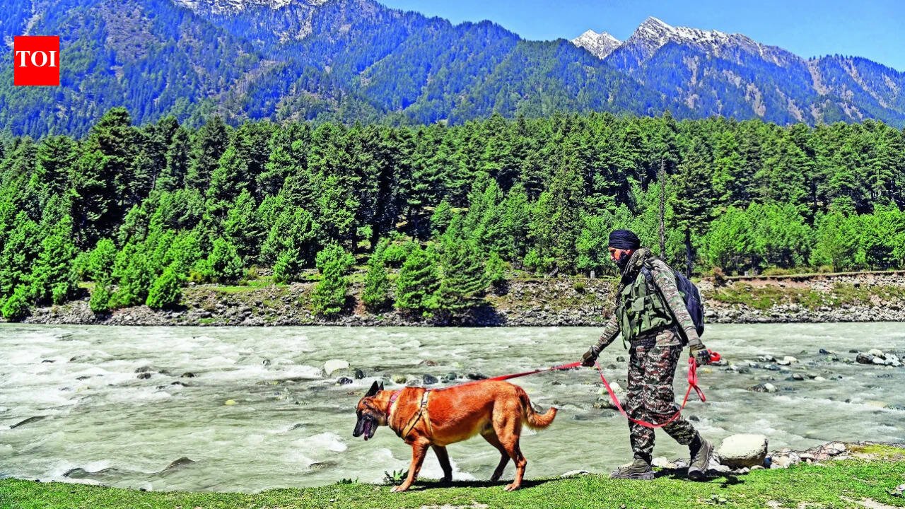 Modi on Pahalgam attack: 'India will never bow to terror'