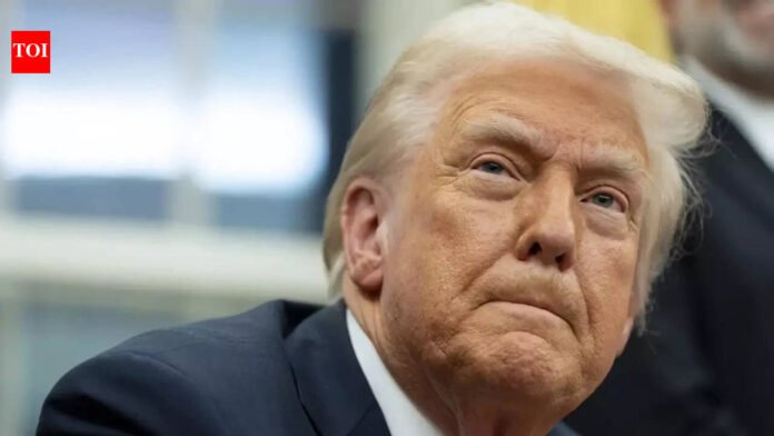 'My grandfather was an anchor baby': Donald Trump's niece says best case against birthright citizenship is...

