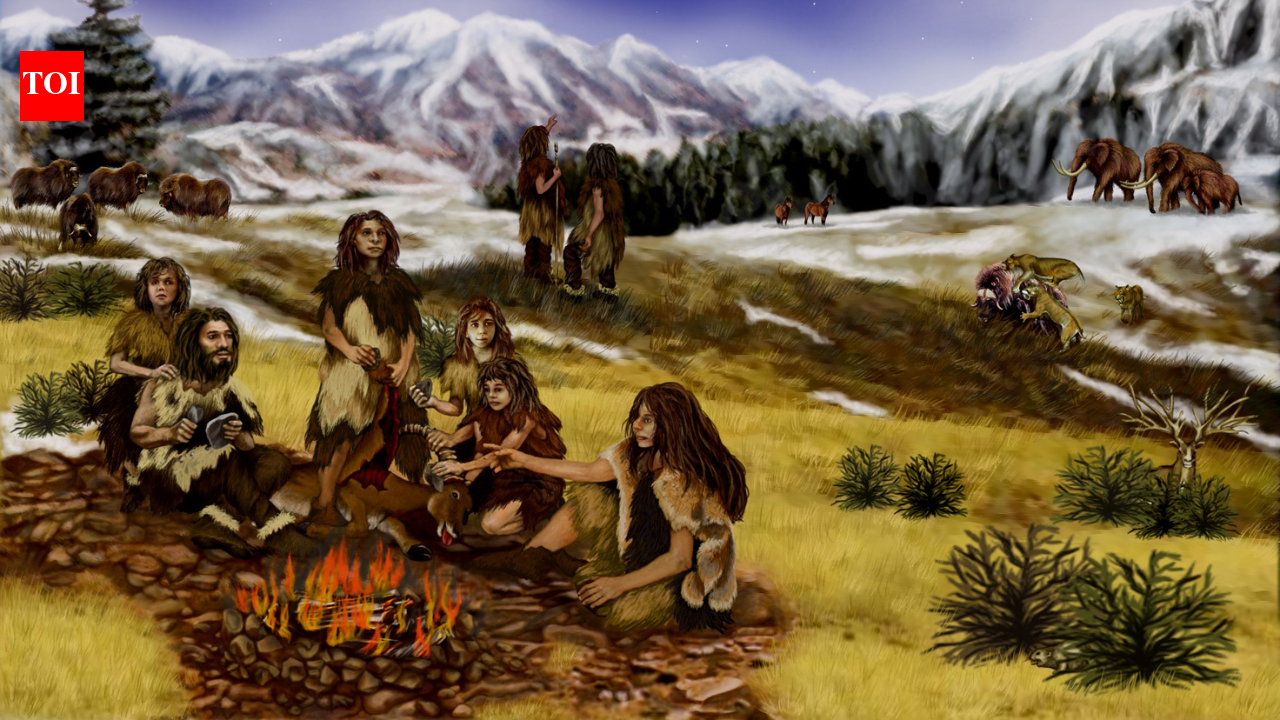 Neanderthal brains didn't contribute to their extinction; new study points to surprising factors
