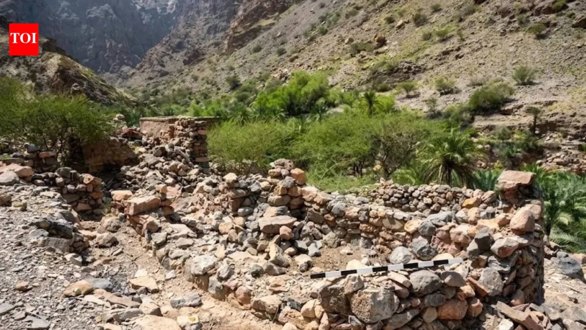 Oman Archaeological Discoveries: Oman: Beginning with road construction, 3,000-year-old tombs and rare Iron Age burial rituals revealed | World News