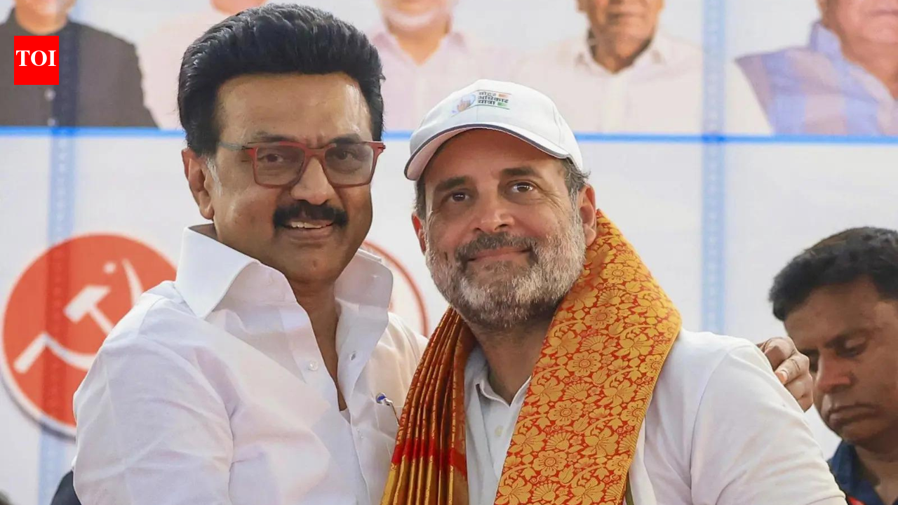 Optical flaws: Will the lack of Stalin-Rahul 'brotherhood' harm Tamil Nadu's alliance?