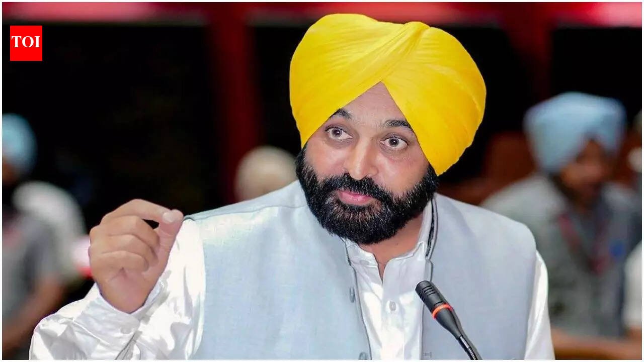 'Other MLAs will stay outside': Punjab chief minister to meet President Murmu to discuss seven AAP RS MPs joining BJP