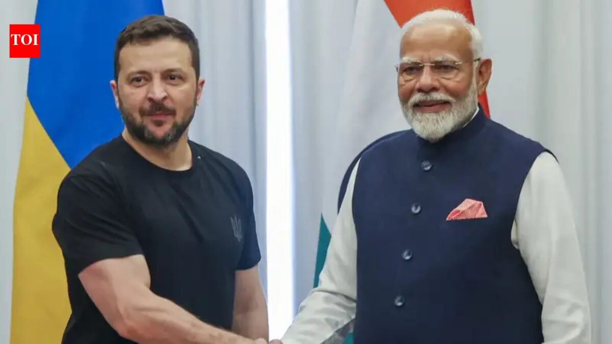 PM Modi: 'Tell Putin to stop': Zelensky calls on 'big guys' Donald Trump, PM Modi and Xi Jinping to put pressure on Russia